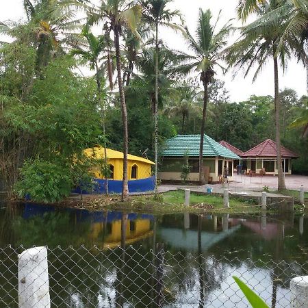 Coorg Anekad Jungle Stay Kushālnagar 外观 照片