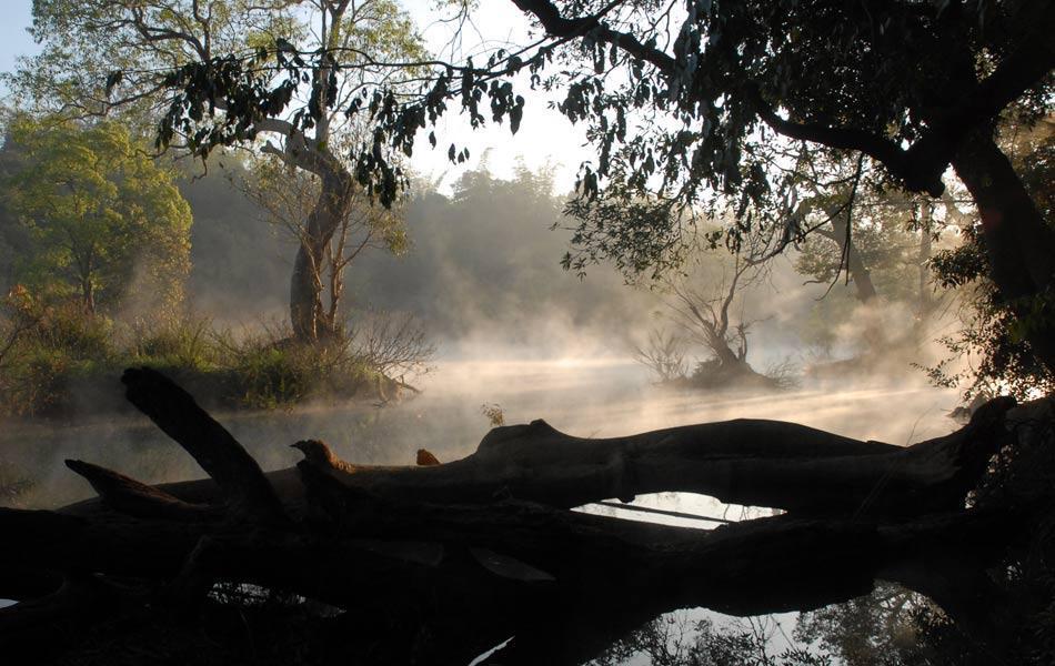 Coorg Anekad Jungle Stay Kushālnagar 外观 照片
