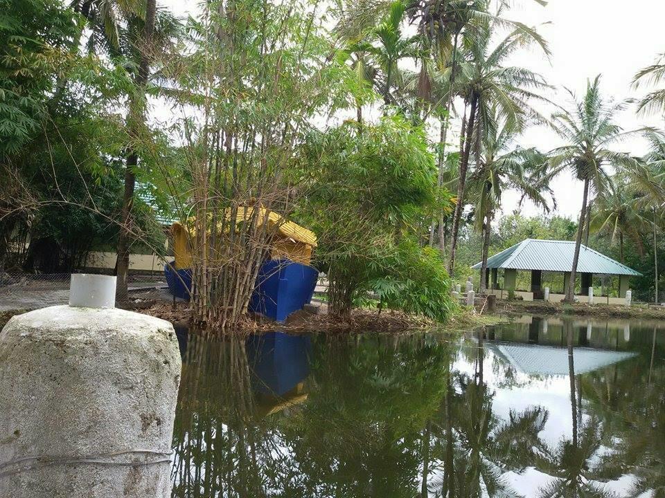 Coorg Anekad Jungle Stay Kushālnagar 外观 照片