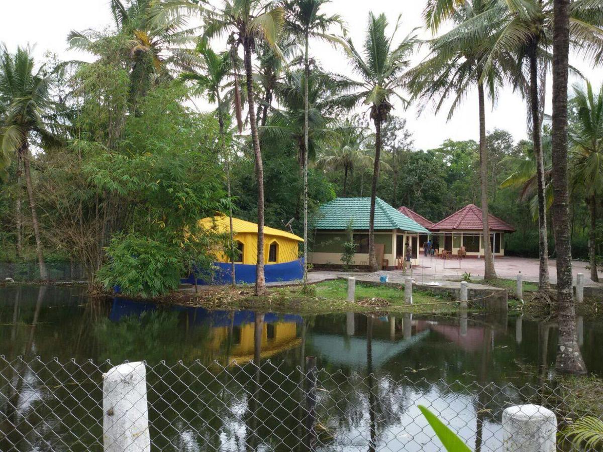 Coorg Anekad Jungle Stay Kushālnagar 外观 照片